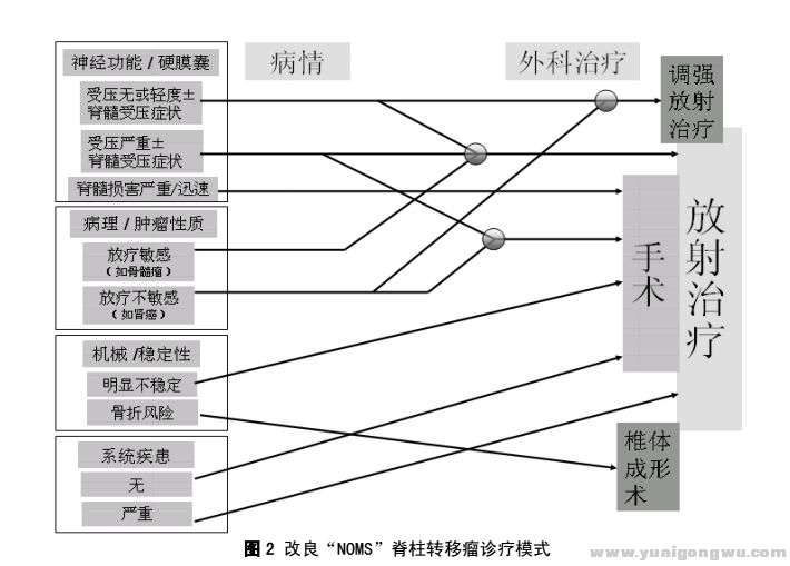 疗法选择