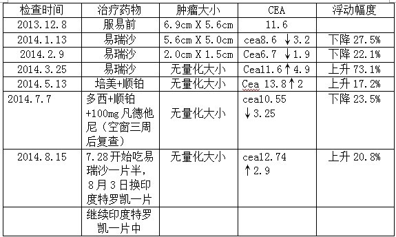 治疗状况及CEA的变化情况（其他肿标均正常）.jpg