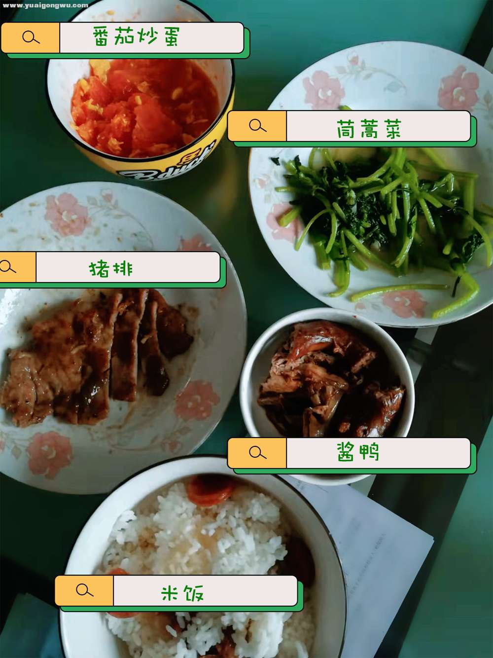 中餐：猪排、酱鸭、番茄炒蛋、茼蒿菜、米饭