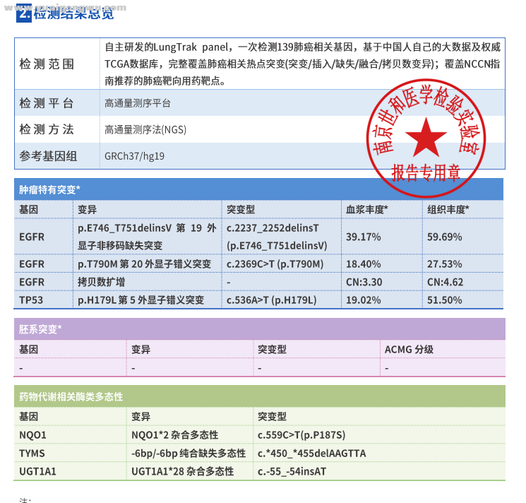 基因报告