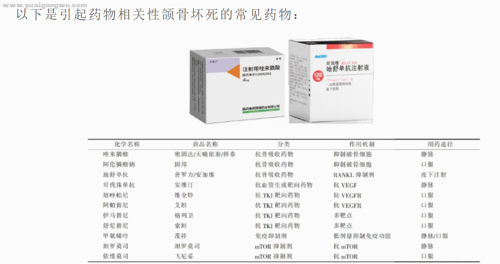 颌骨坏死的药物.png